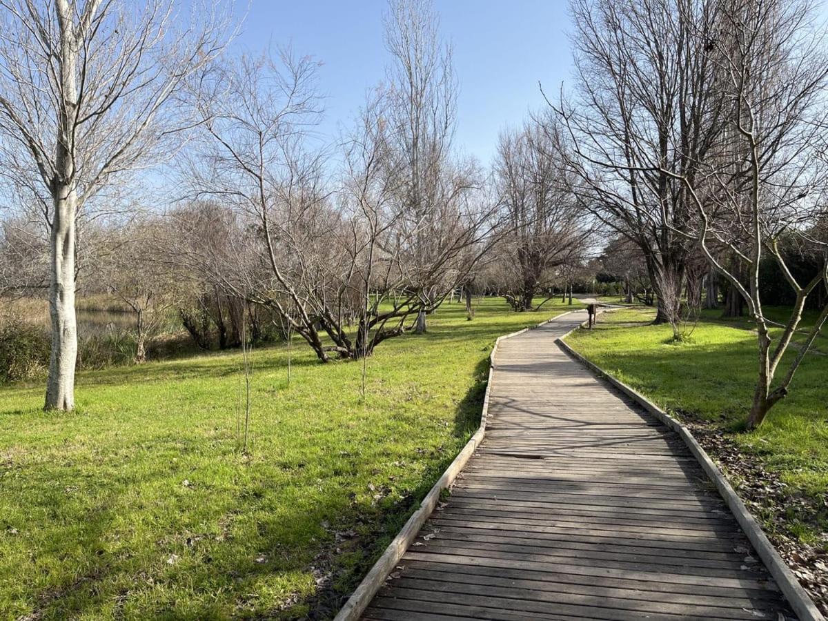 Villa Luny Playa Gandia Playa de Gandia エクステリア 写真