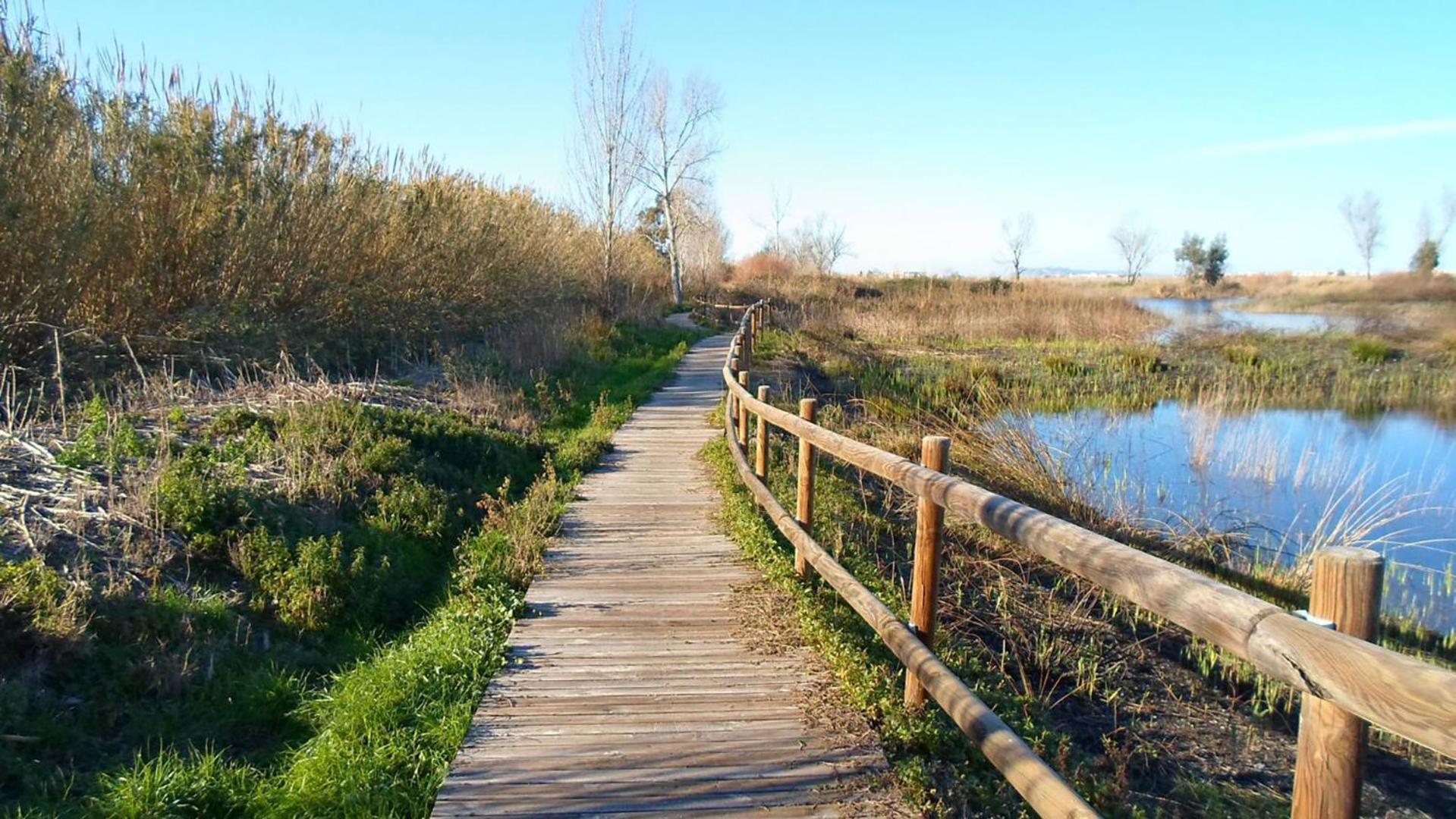 Villa Luny Playa Gandia Playa de Gandia エクステリア 写真